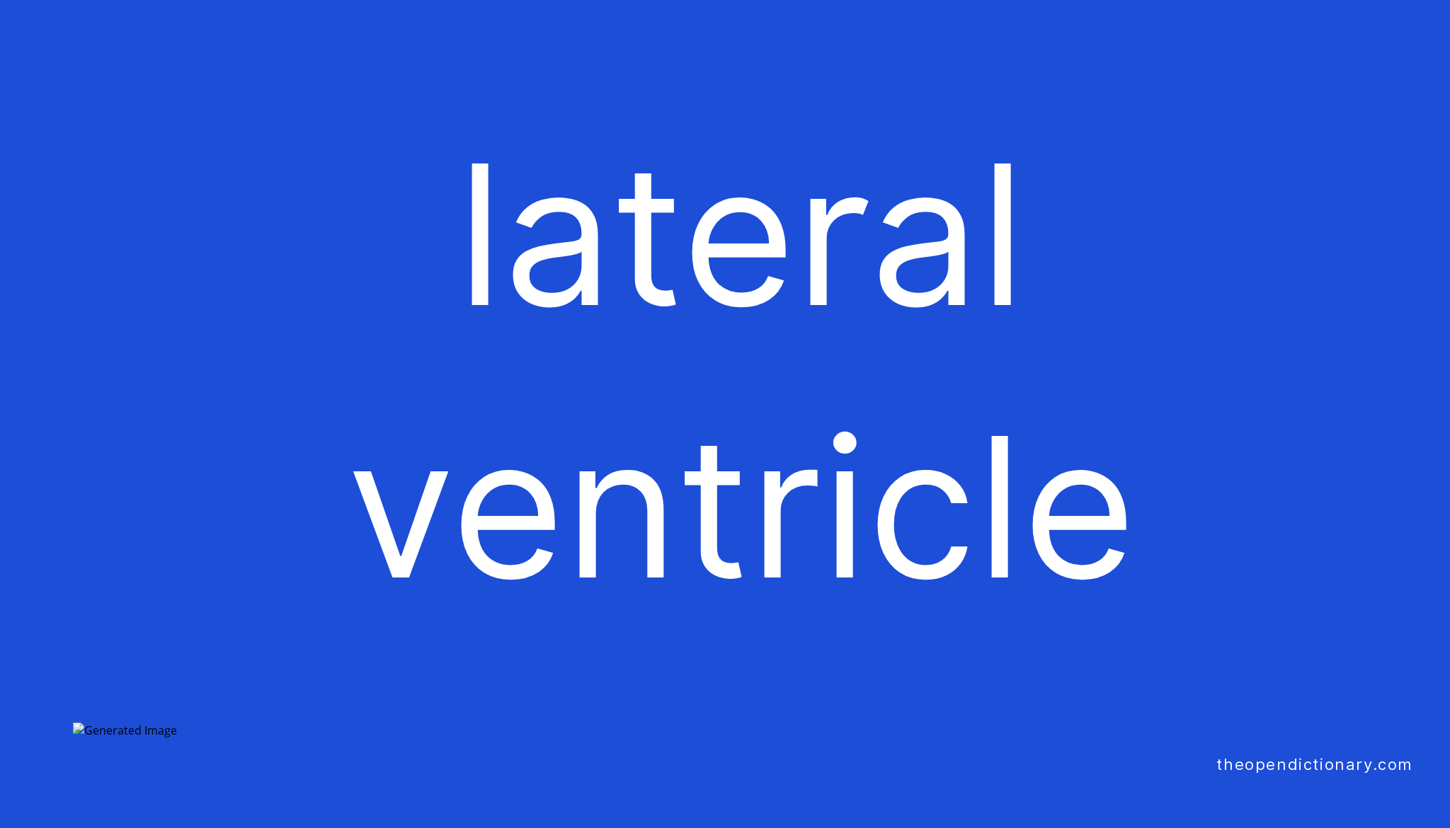 lateral-ventricle-meaning-of-lateral-ventricle-definition-of